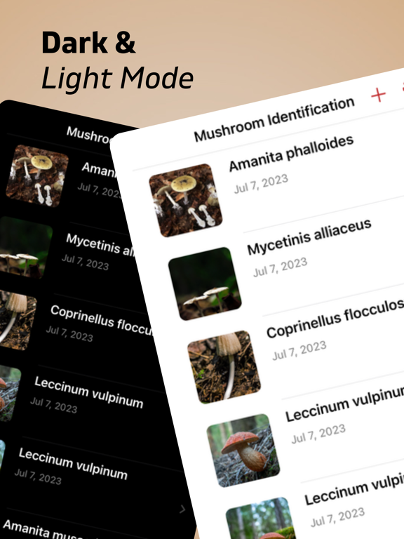 Mushroom Identifier AI iPad screenshot