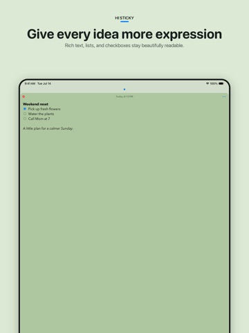 Hi Sticky: Sticky Notes iPad screenshot