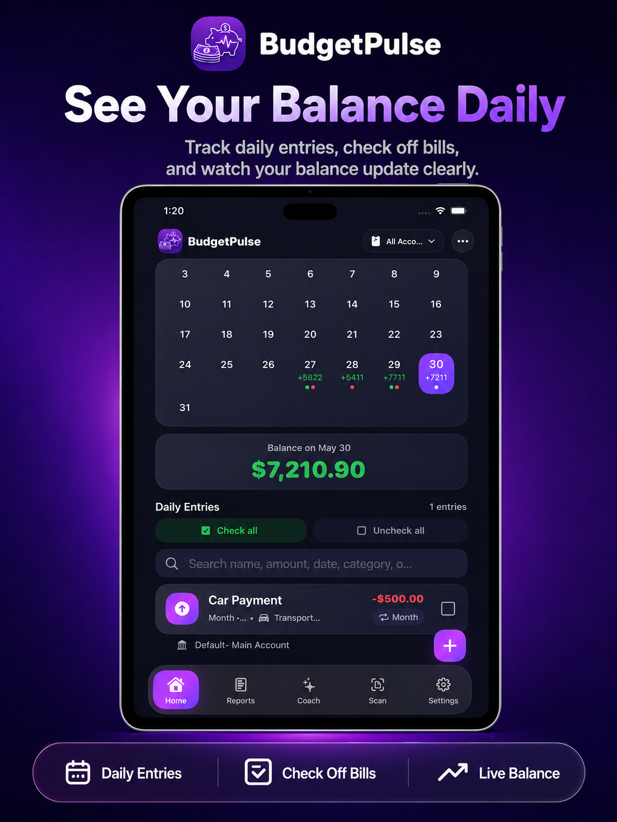 BudgetPulse – Easy Budgeting