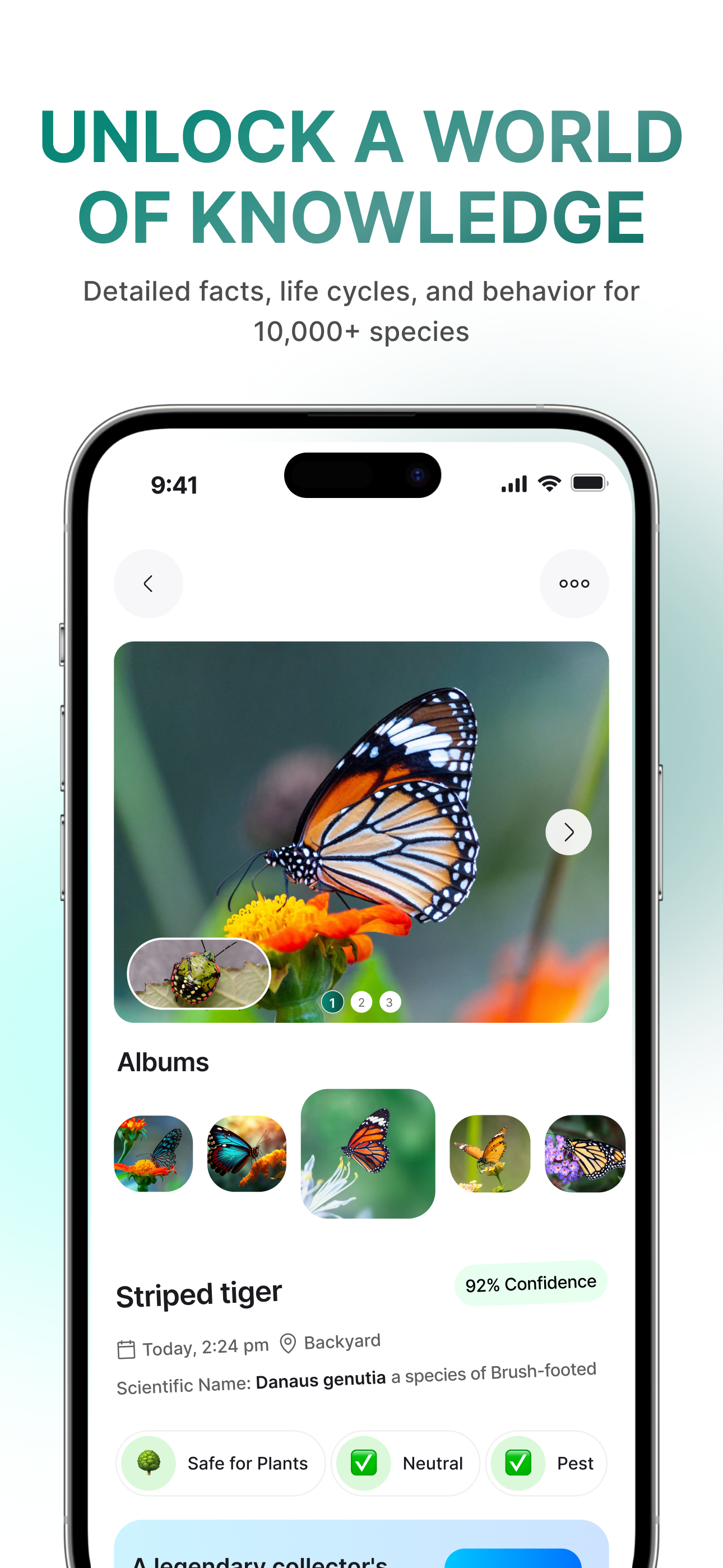 InsectBrain: Bug Identifier