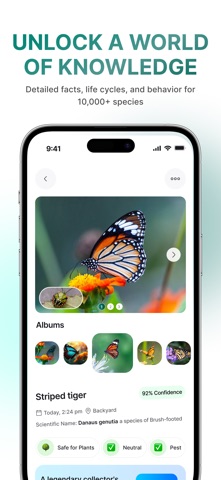 InsectBrain: Bug Identifier Screenshot 6 of 7