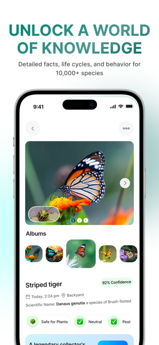 InsectBrain: Bug Identifier Screenshot 6 of 7