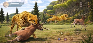 Cheetah Hunting Simulator Game Screenshot 2 of 5
