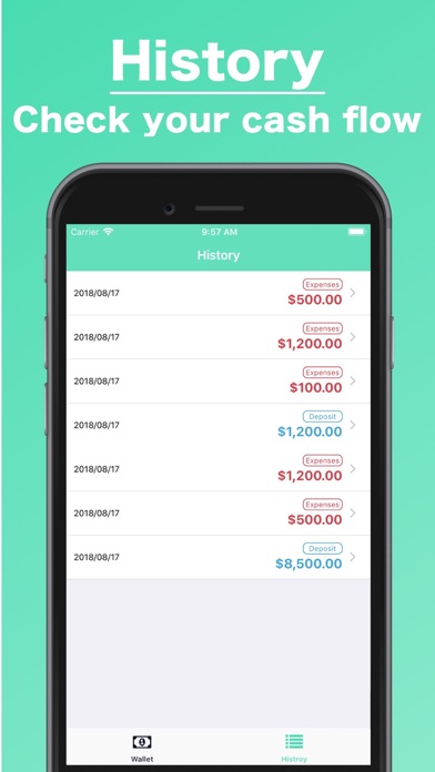 Cash / Wallet Management iPhone screenshot 4 - Finance app