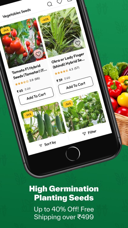 Organic Bazar: Home Gardening