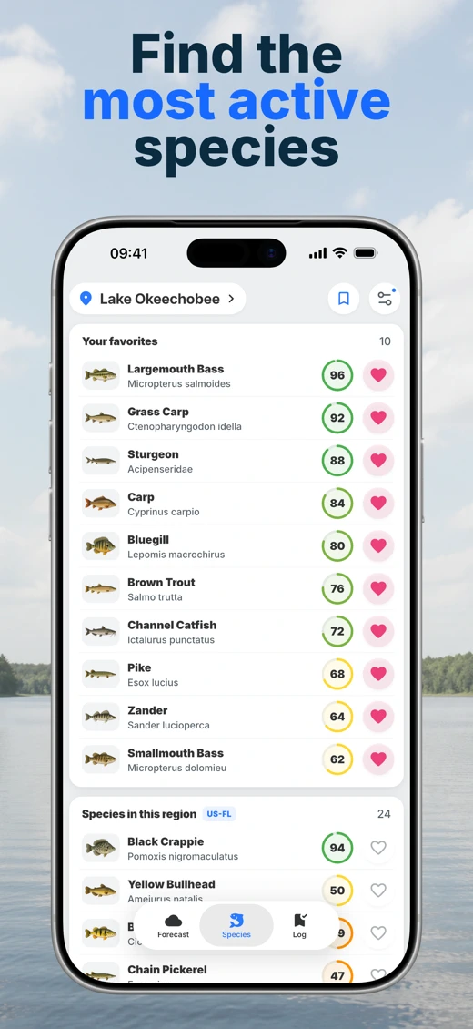 BiteRadar: Fishing Forecast screenshot 4