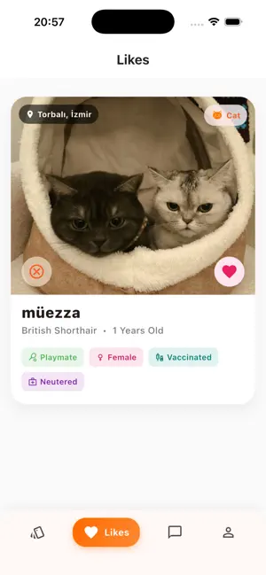 Pawium: Pet World screenshot 2