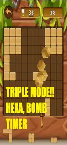 Puzzle Games: Wood Blocks screenshot #1 for iPhone