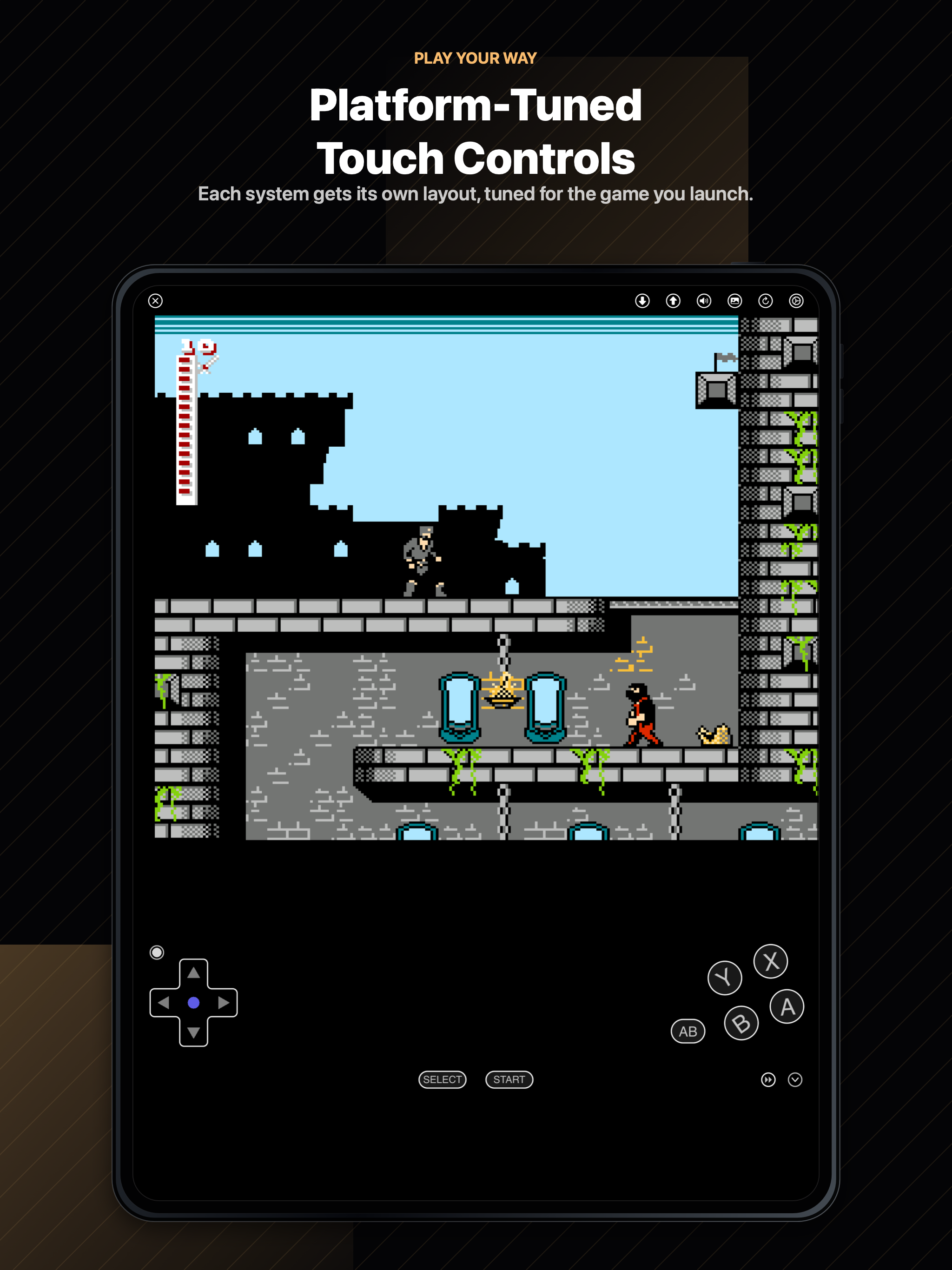 RetroGo - Retro Game Emulator screenshot 13