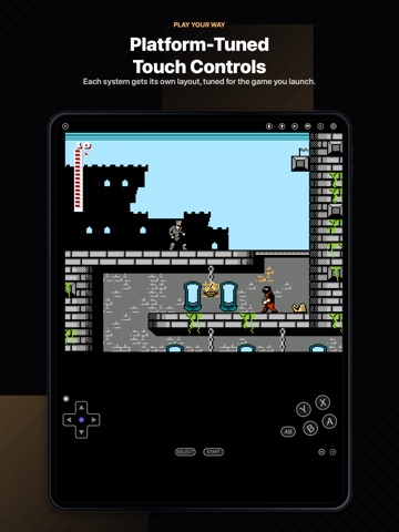 RetroGo - Retro Game Emulator iPad screenshot
