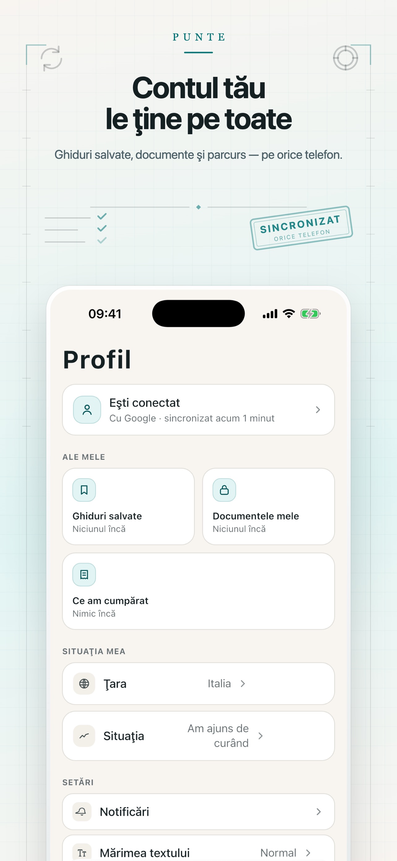 Screenshot 10 of PUNTE