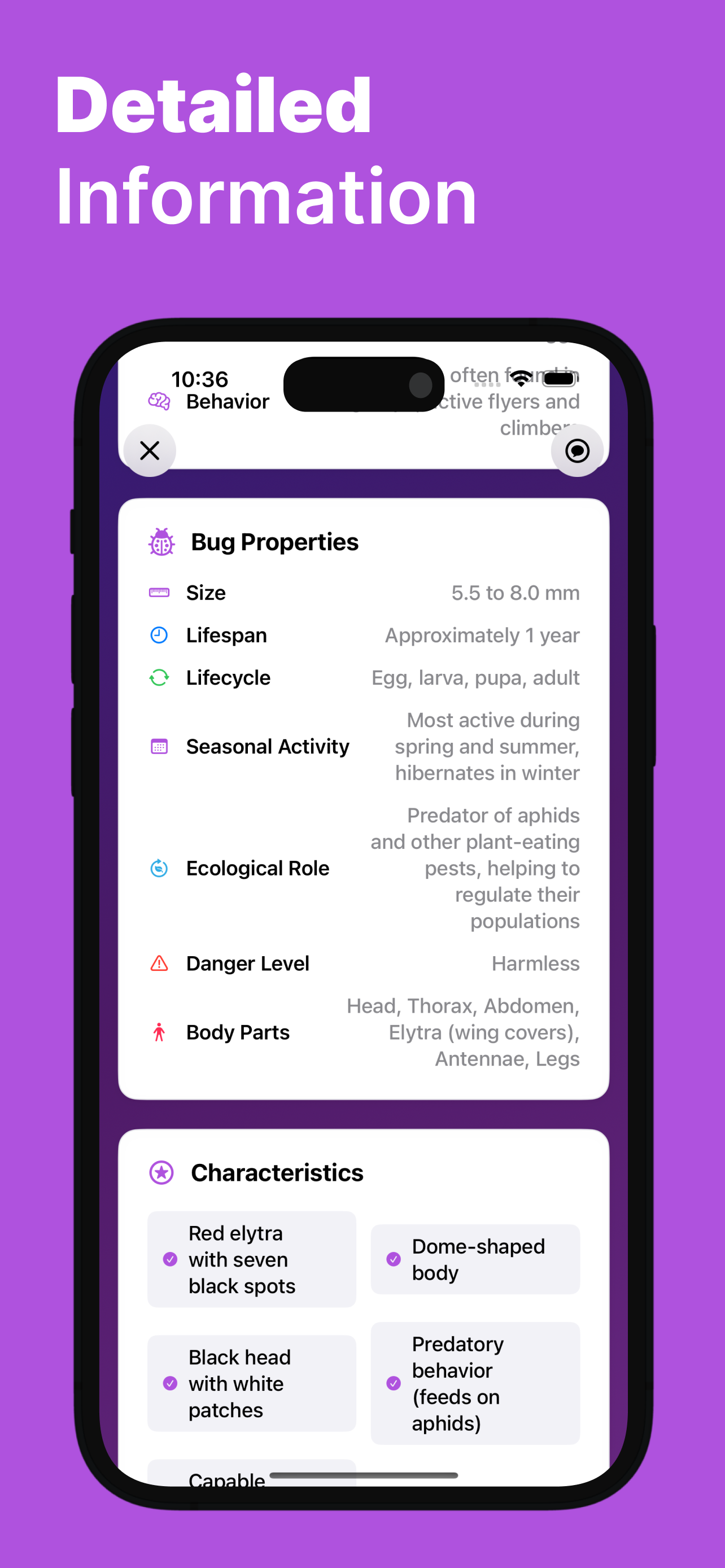 Bug Identifier - Buggy