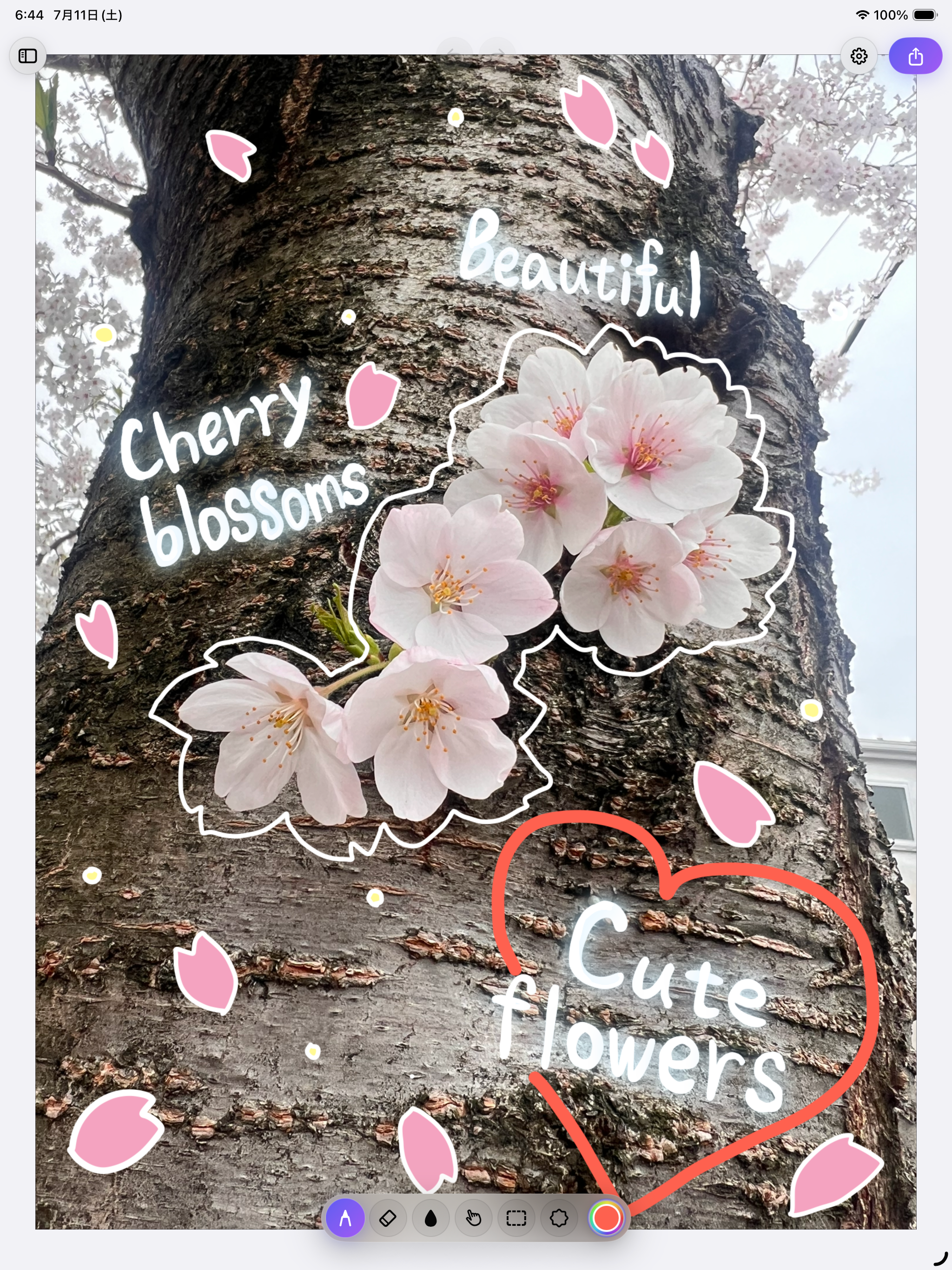PhotoDeco Simple screenshot 5