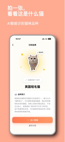 猫知道 screenshot
