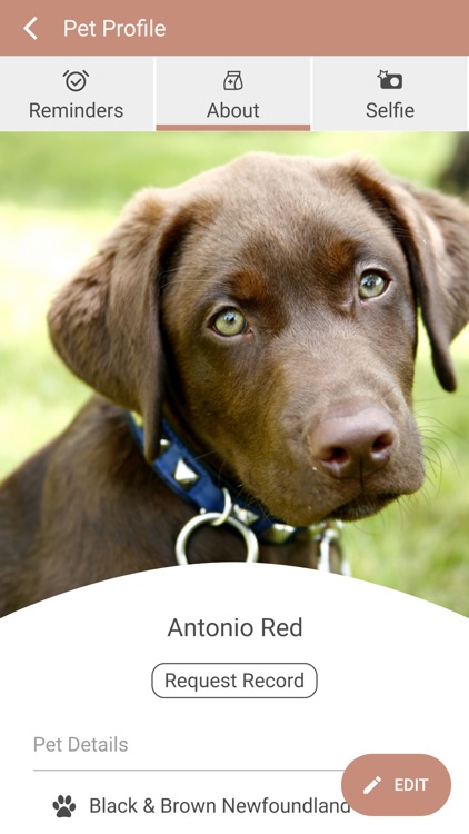 Pantano Animal Clinic