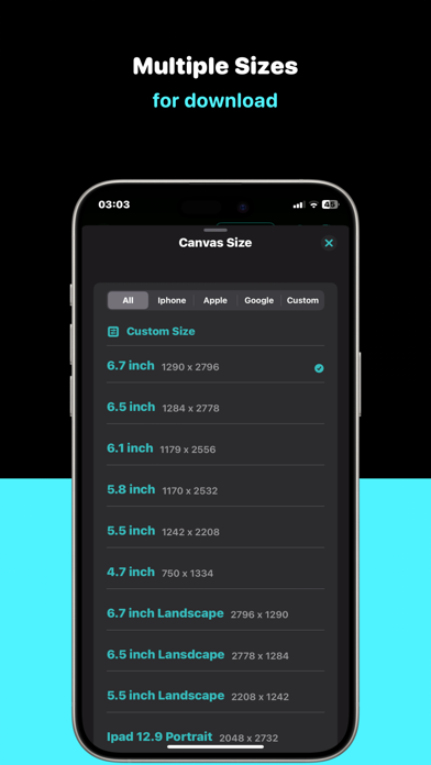 StoreView: App Screenshot Tool Screenshot