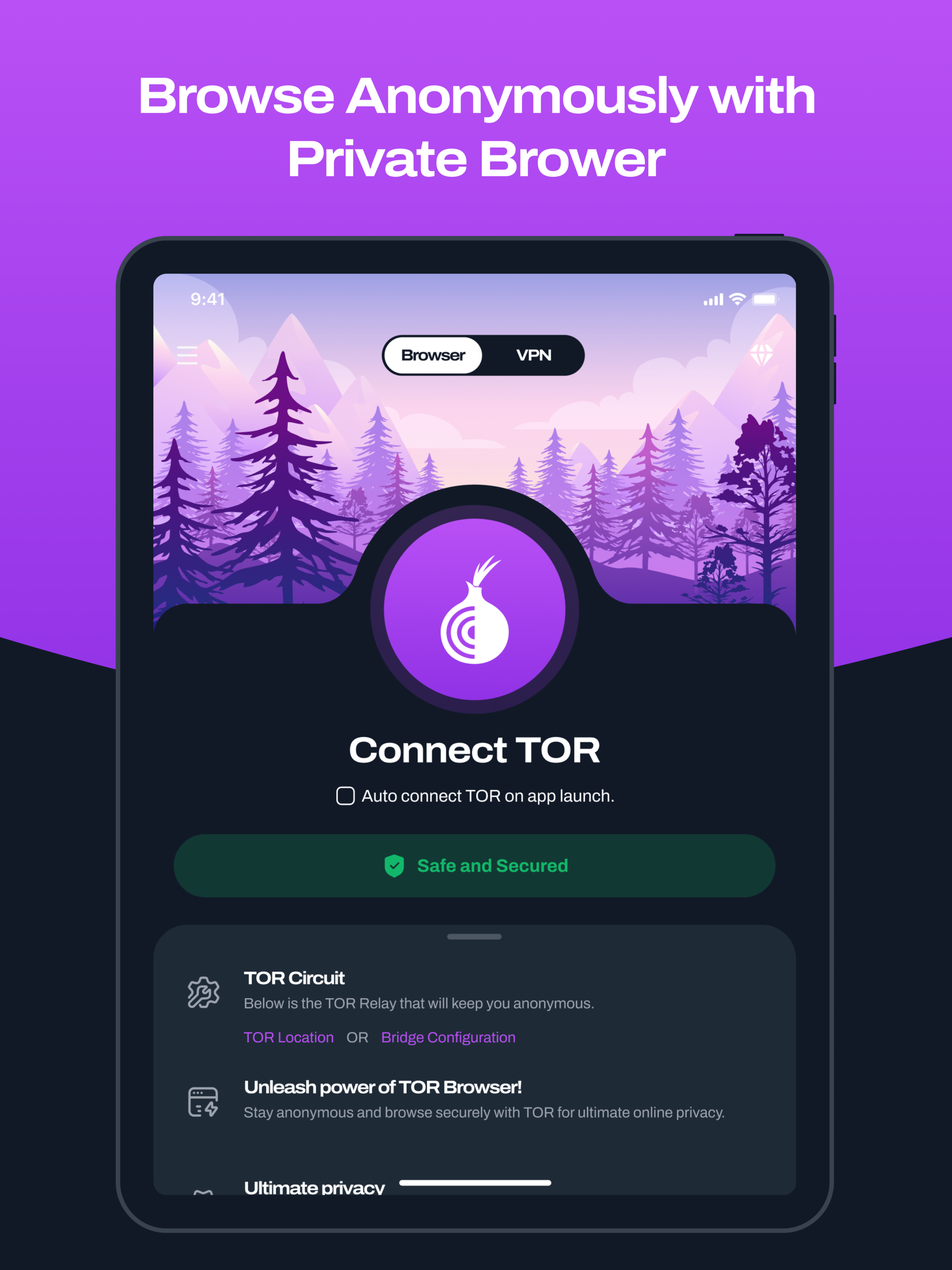 Tor Browser: VPN+orNETOnion