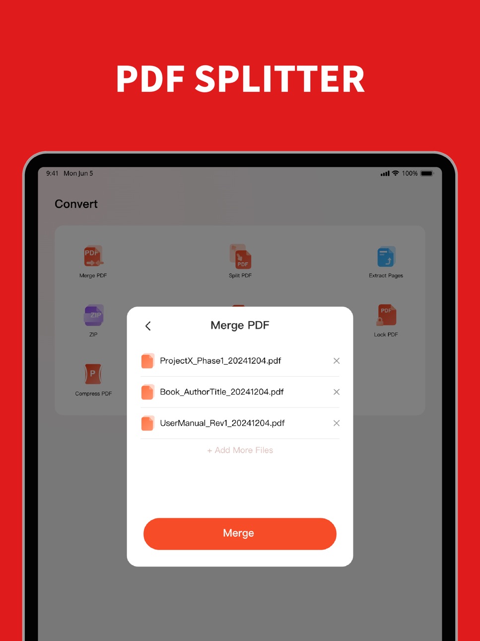 iPad screenshot