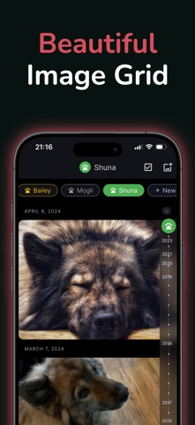 Mirroly Screenshot 1 of 5