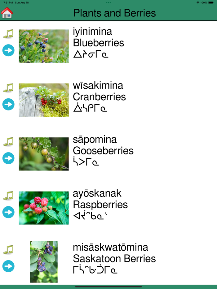 WLFN Cree Language App