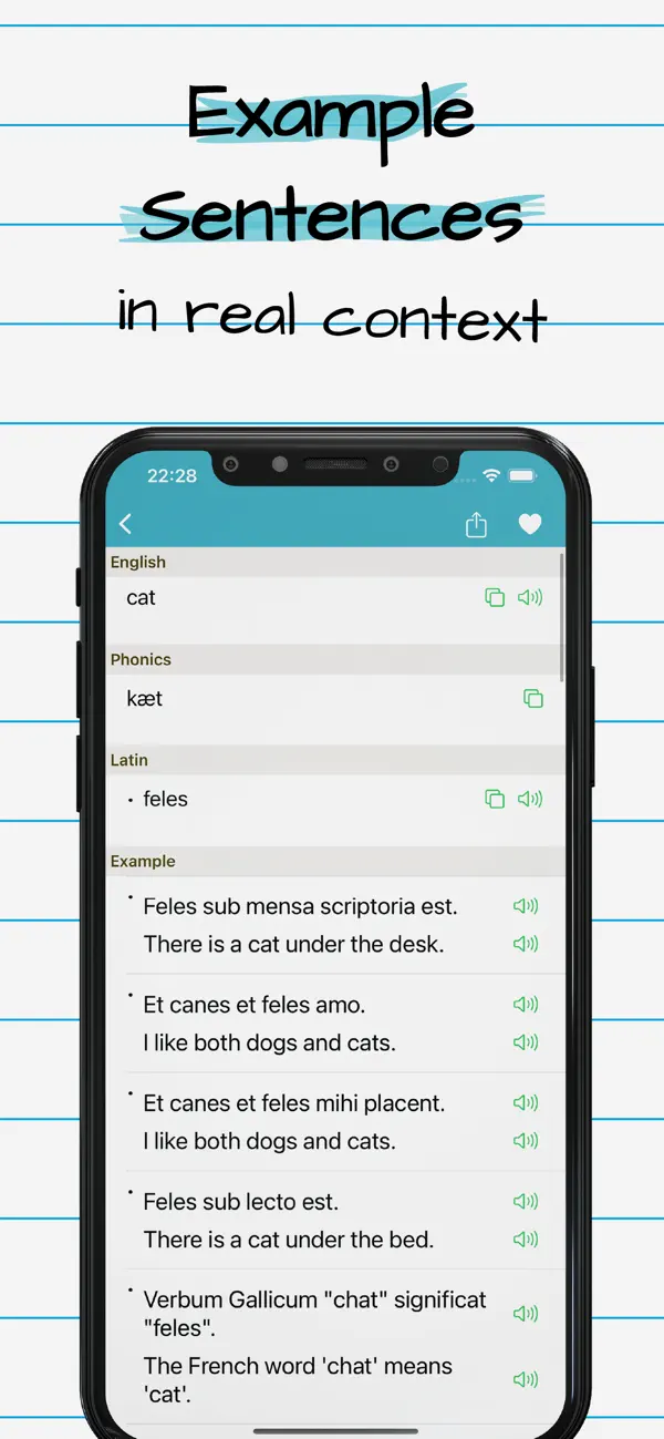 Screenshot #3 pour Latin English Dictionary Pro