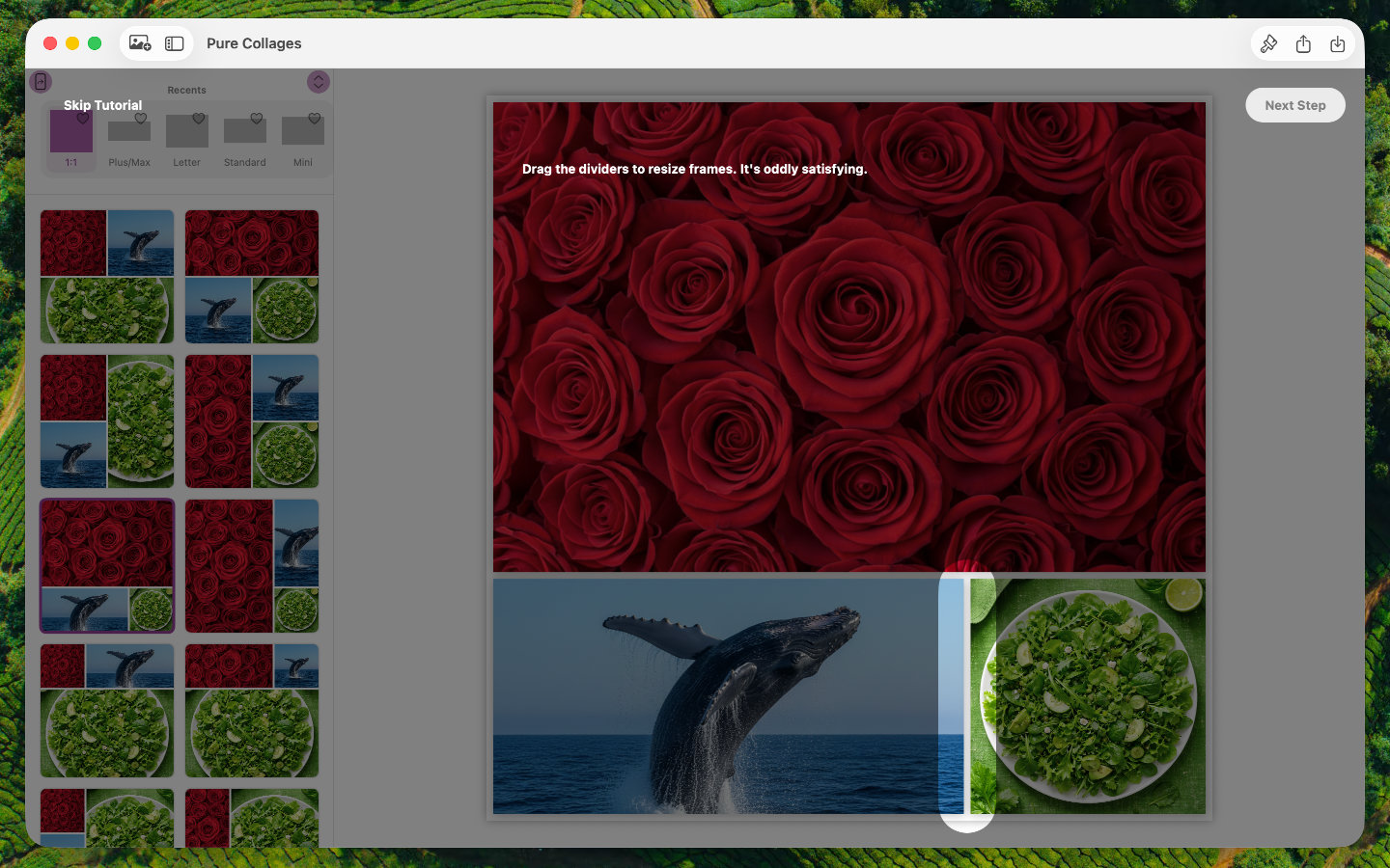 Pure Collages screenshot 21