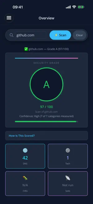 DomainLens Pro screenshot 1