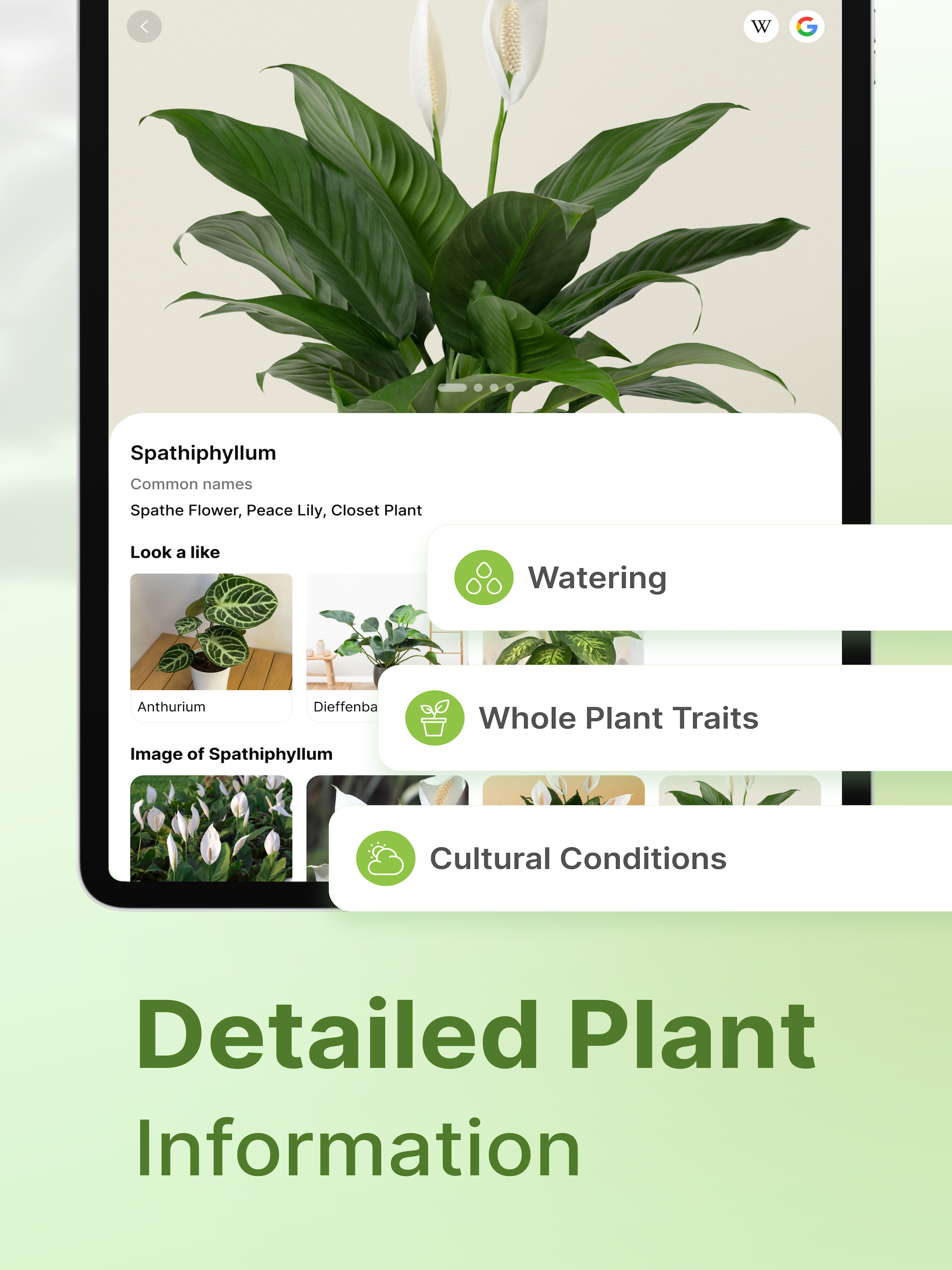 PlantCare: Guide Identifier screenshot 6