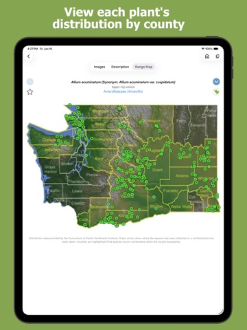 Washington Wildflowers iPad screenshot