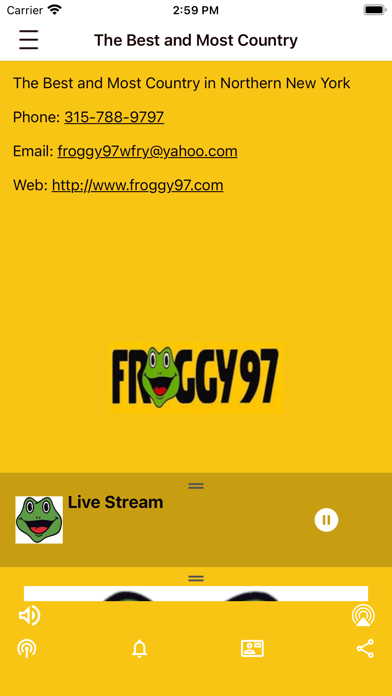 Screenshot #3 pour FROGGY 97FM
