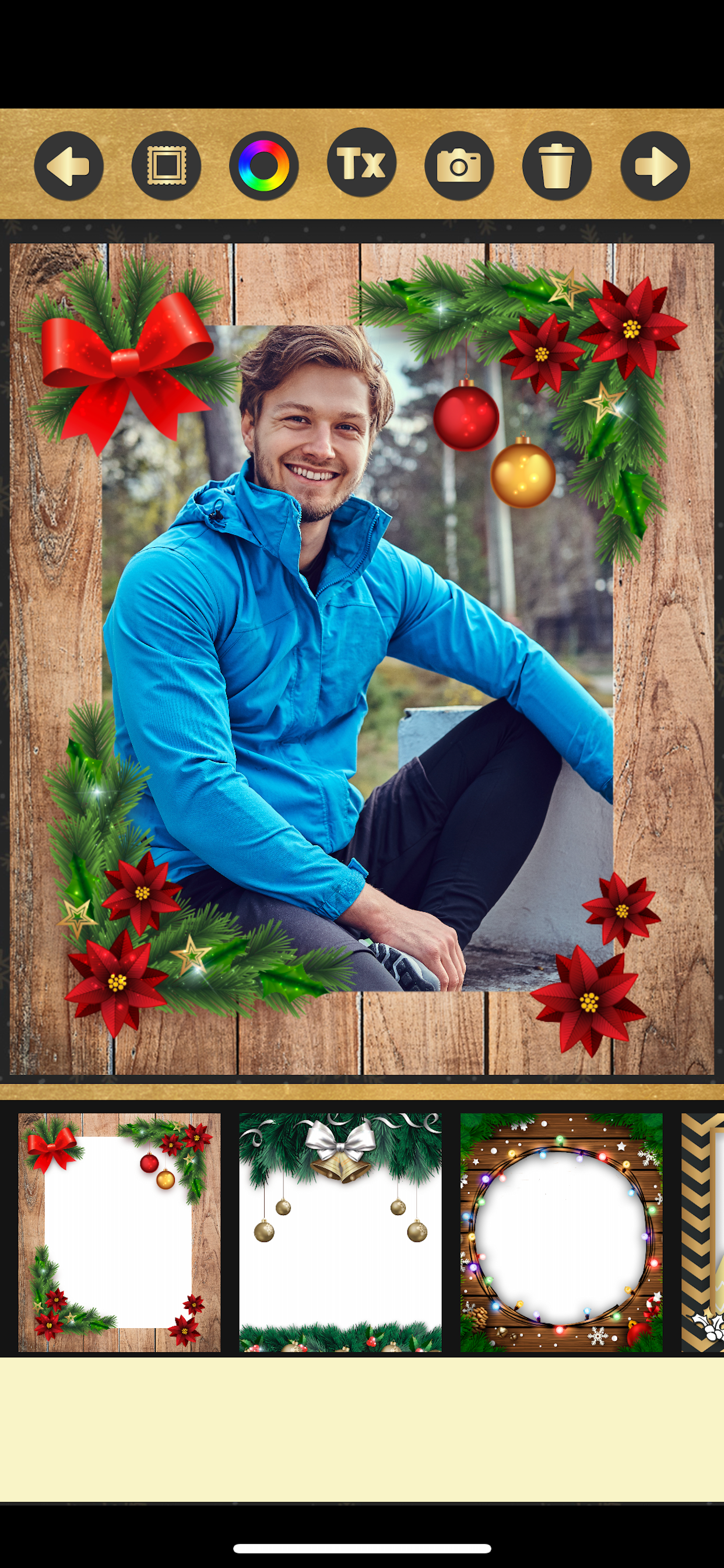 Christmas, New Year frames