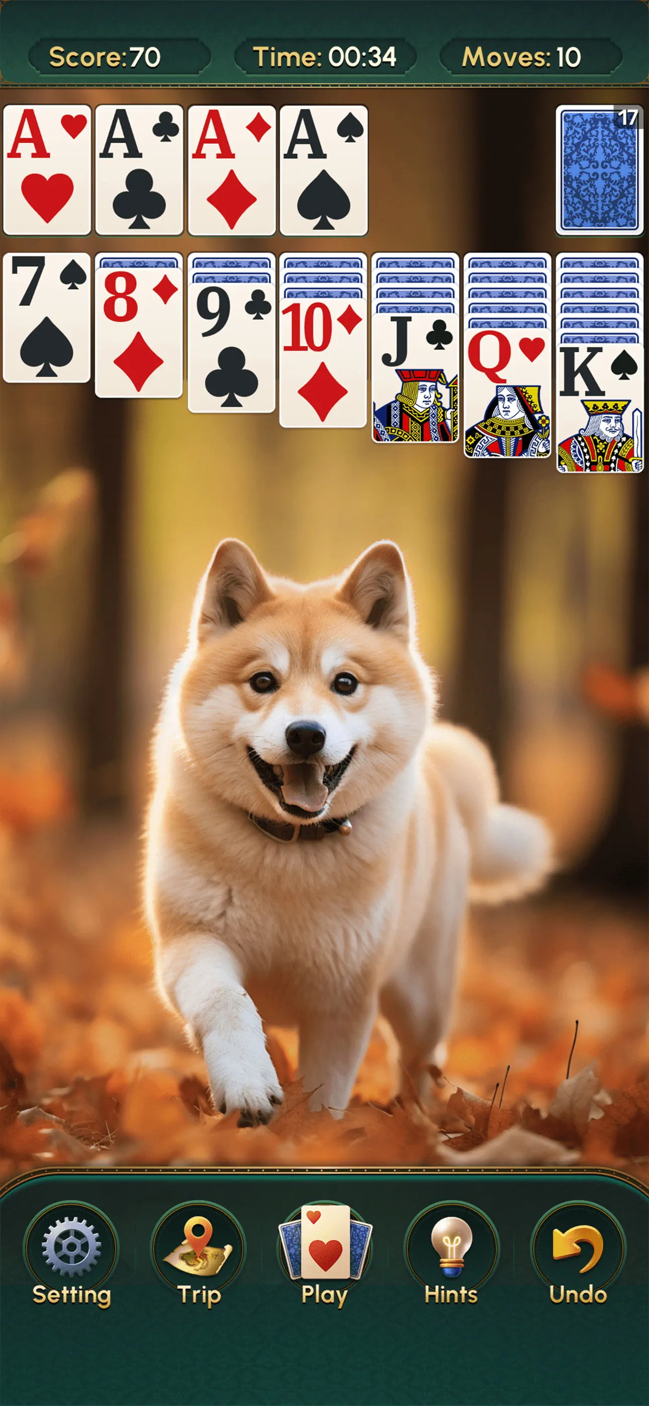 Solitaire-Classic Deluxe Cards screenshot 3