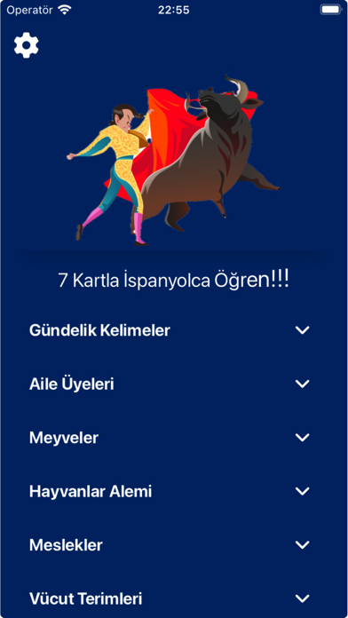 7 Kartla İspanyolca Screenshot