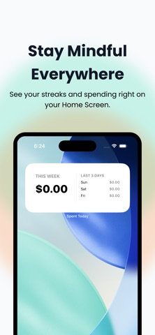 Spent Today: Expense Tracker iPhone screenshot