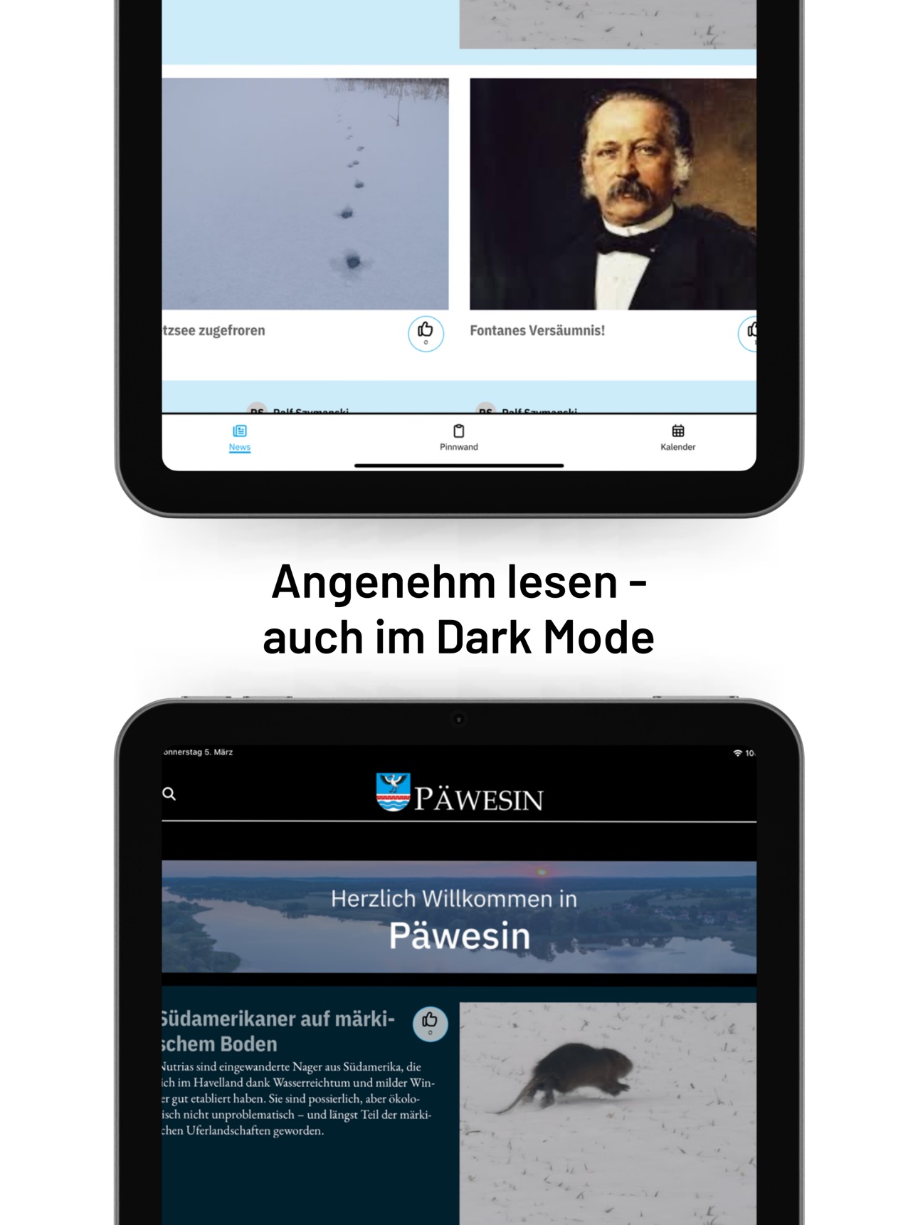 Screenshot 10 of Päwesin