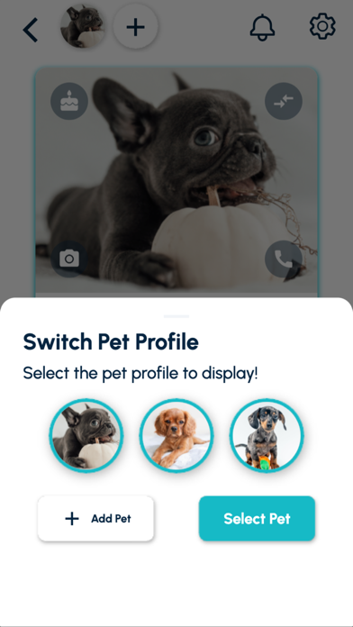 MyPetPort Screenshot