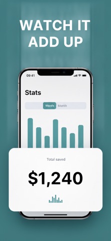 No Spend Today screenshot