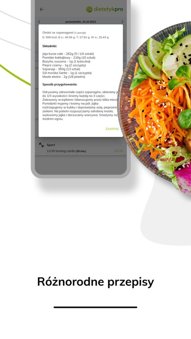 DietetykPro 1.0 Screenshot