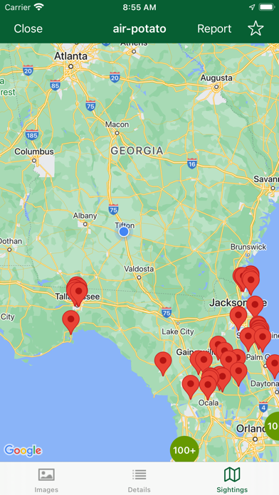 Screenshot #3 pour EDDMapS