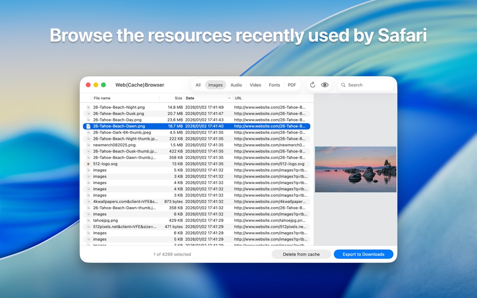 #1. Web(Cache)Browser (macOS) Podle: GRC