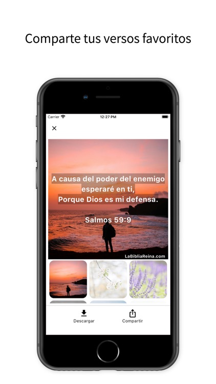 La Biblia Reina Valera screenshot-4