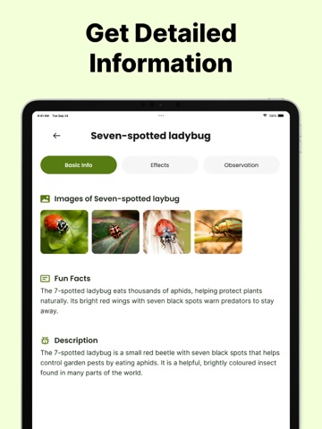 Bug Identifier: Pest Finder iPad screenshot