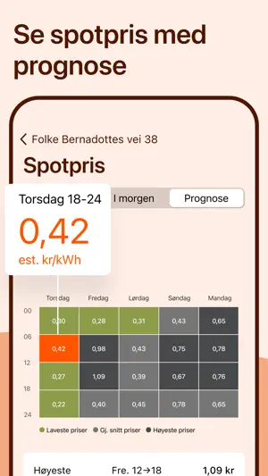 Fjordkraft screenshot 3