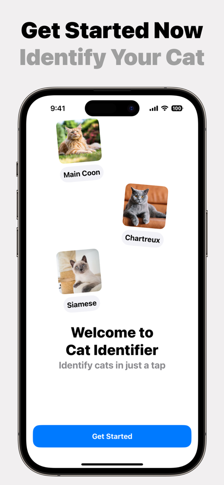 Cat Identifier Breed AI CatID screenshot 4