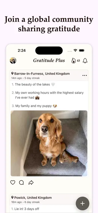 Gratitude Plus: Screenshot 4 von 9