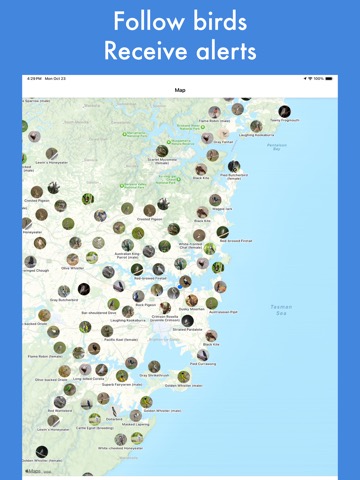 Smart Bird ID (Australia & NZ)のおすすめ画像8