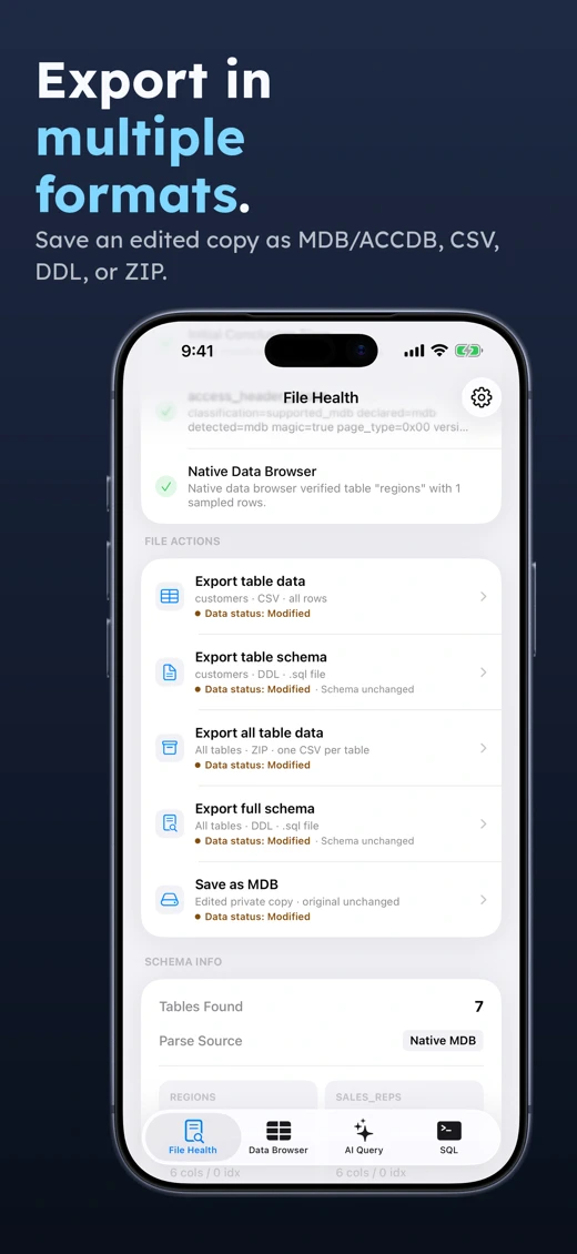Access Database Viewer: MDB AI screenshot 4