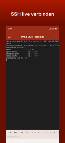 CloudFox for Hetzner Cloud screenshot