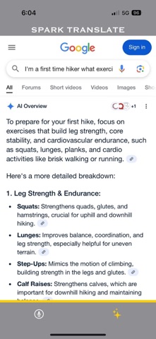 Spark Translate Screenshot 8 of 10