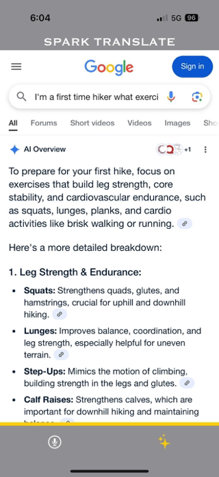Spark Translate Screenshot 8 of 10
